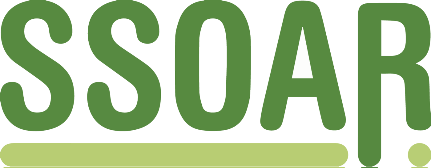 Social Sciences Open Access Repository (SSOAR)