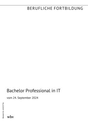 Bachelor Professional in IT